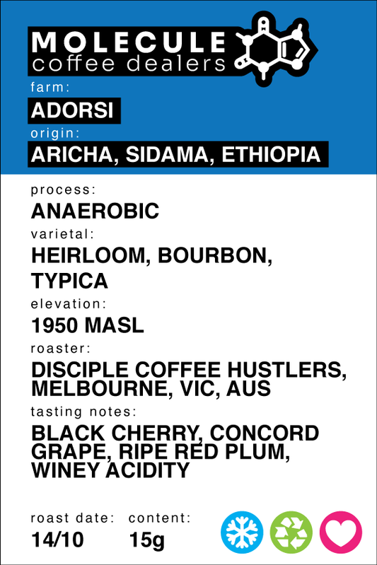 Adorsi - Aricha, Sidama, Ethiopia  - Anaerobic  / Disciple Coffee Hustlers // 15g
