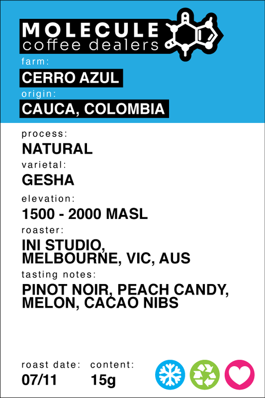 Cerro Azul - Cauca, Colombia - Natural / INI Studio // 15g