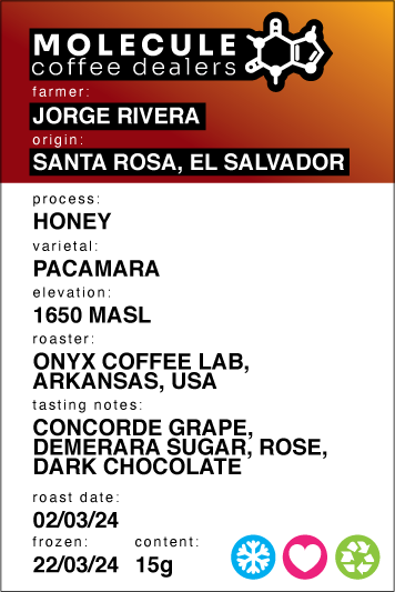 Jorge Rivera - Santa Rosa, El Salvador  - Honey  / ONYX Coffee Lab // 15g
